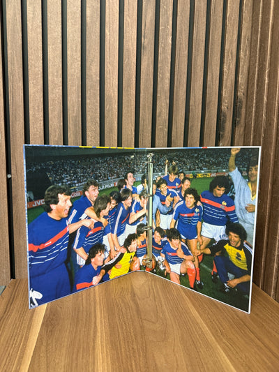 SAMLEPERMER SOM TAR FOR SEG VM 1970, 1974, 1978, 1982, 1986, 1990 OG EM 1984, 1988