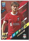 073.  LIV 10.  Harvey Elliott - Liverpool