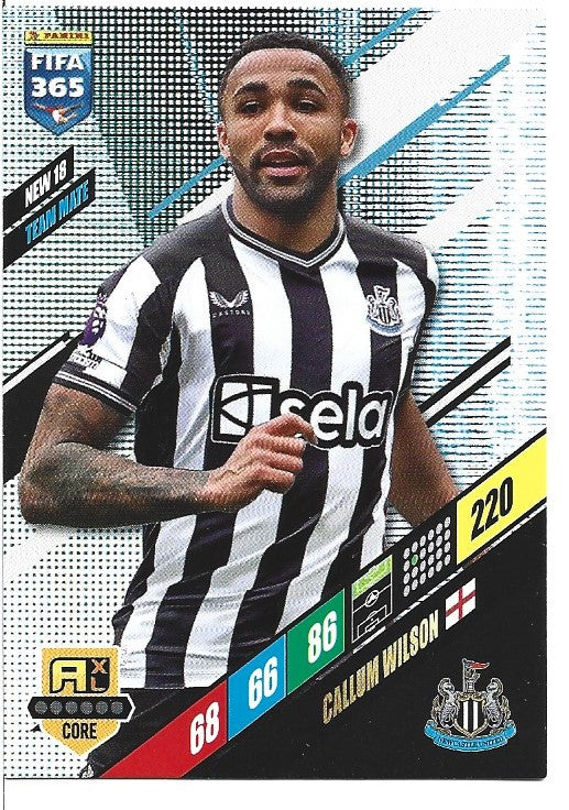 135.  NEW 18.  Callum Wilson  - Newcastle United