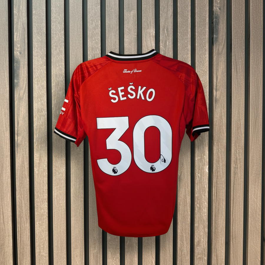 Šeško #30 – Wooden Background