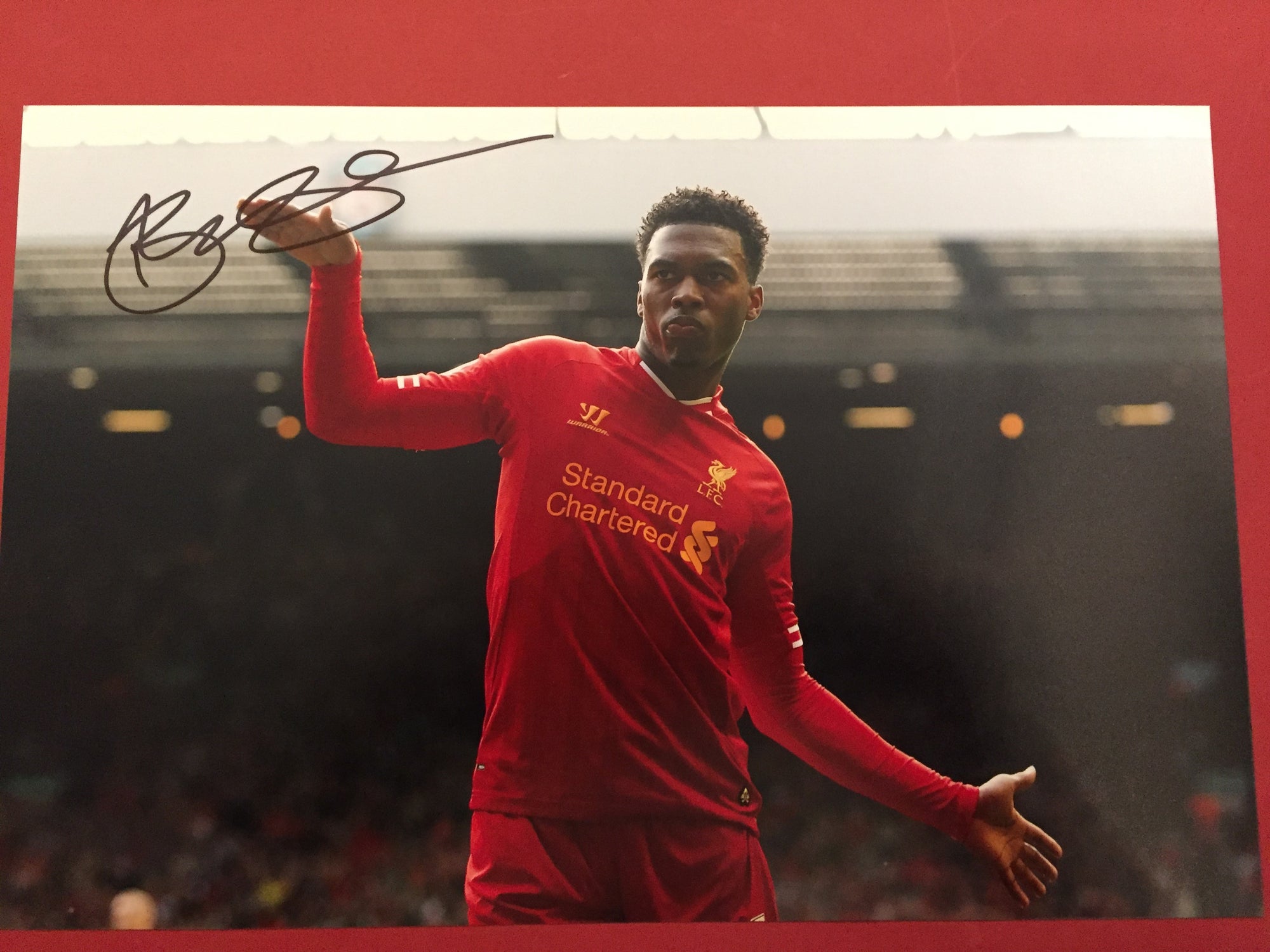 DANIEL STURRIDGE - SIGNERT BILDE MED EKTEHETSGARANTI/COA