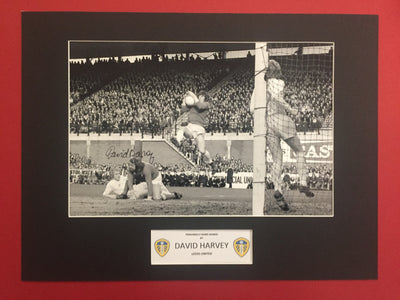 DAVID HARVEY - SIGNERT BILDE MED EKTEHETSBEVIS/COA