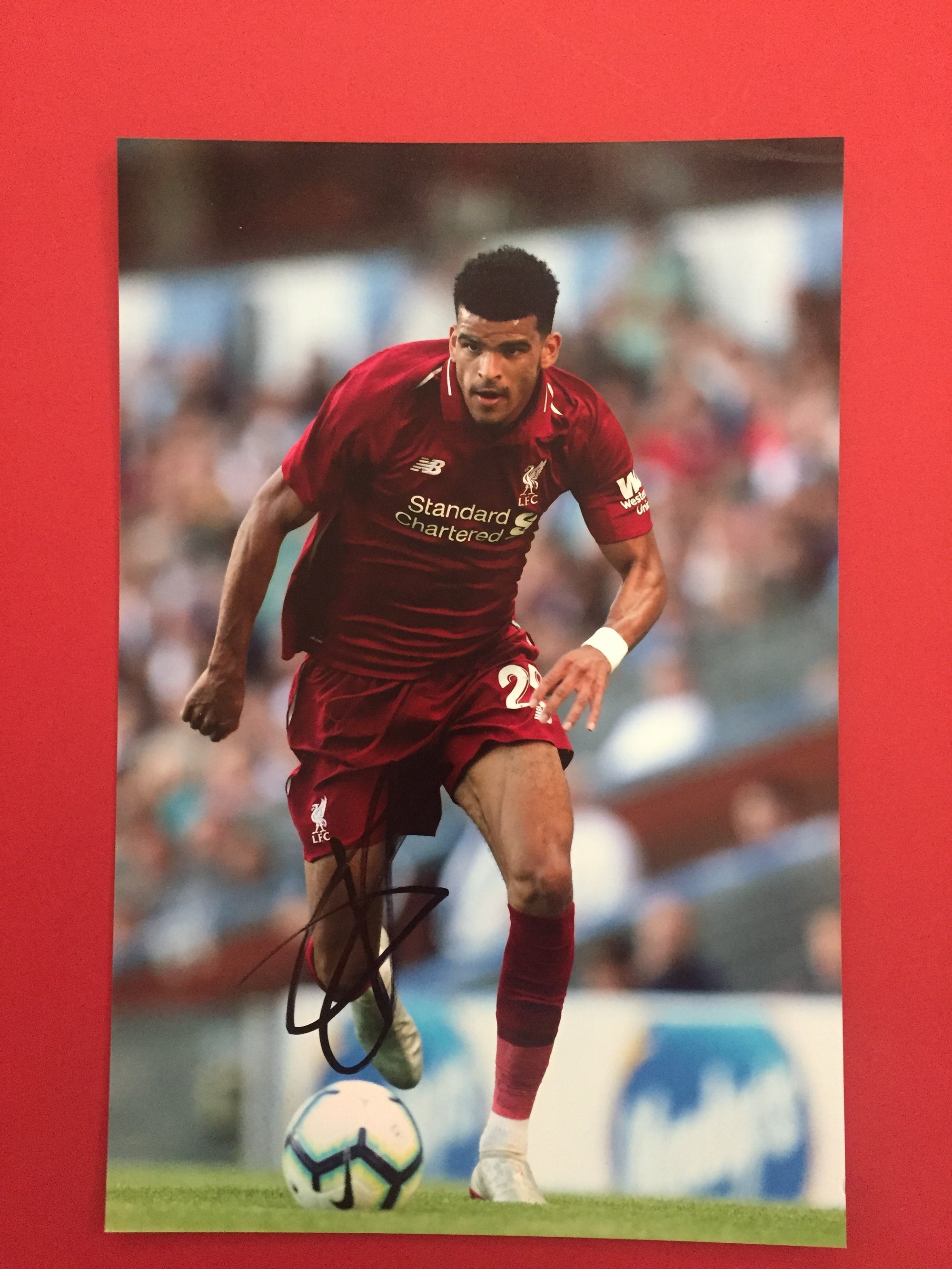 LIVERPOOL - DOMINIC SOLANKE - SIGNERT BILDE MED EKTEHETSBEVIS/COA