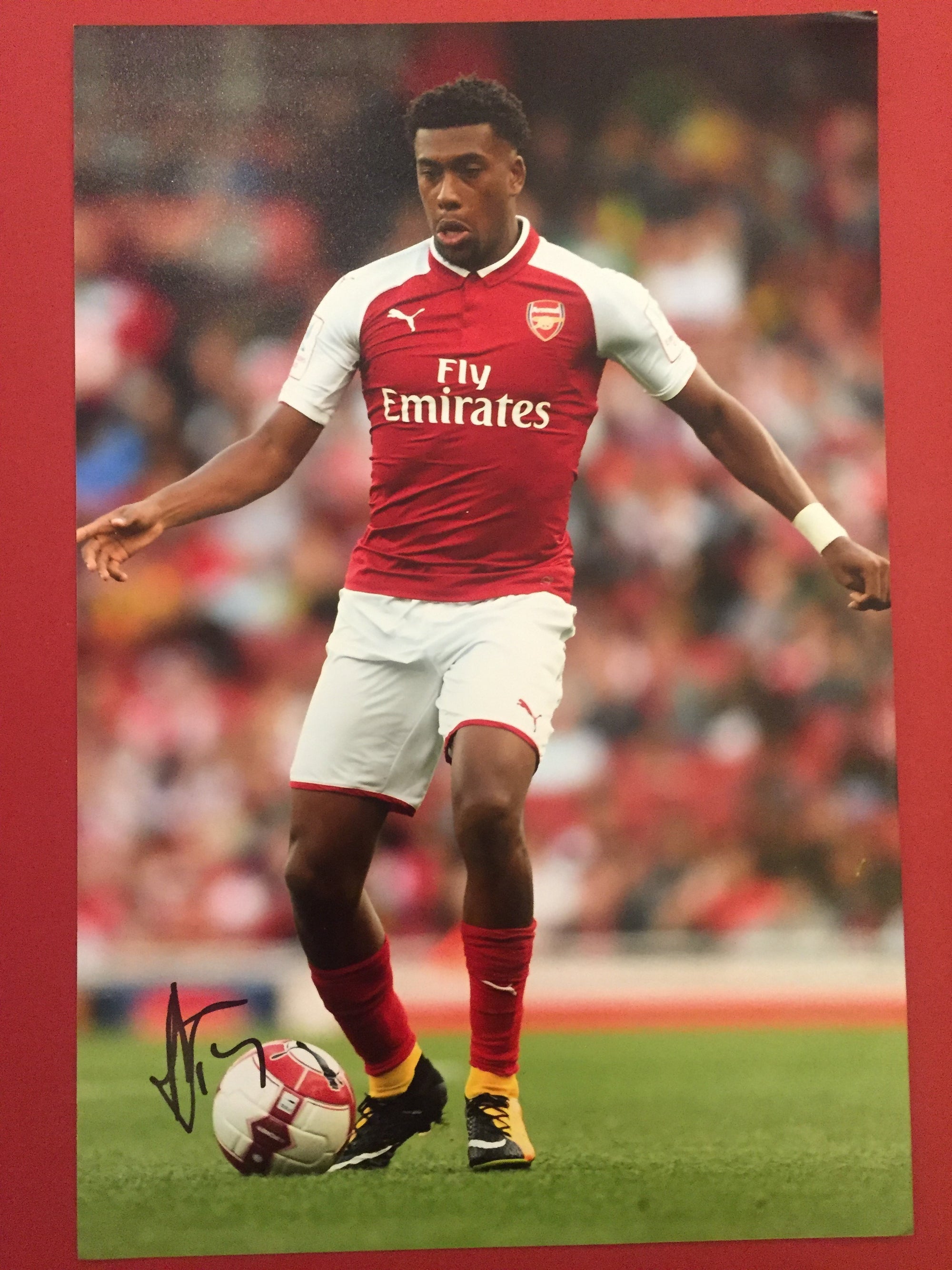 ARSENAL - ALEX IWOBI - SIGNERT BILDE MED EKTEHETSBEVIS/COA