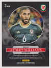 ASHLEY WILLIAMS - WALES - INTERNATIONAL INK #60