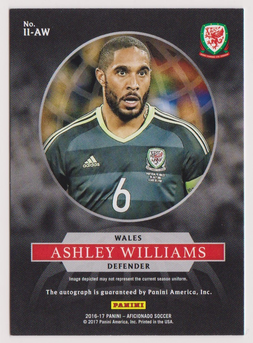 ASHLEY WILLIAMS - WALES - INTERNATIONAL INK #60