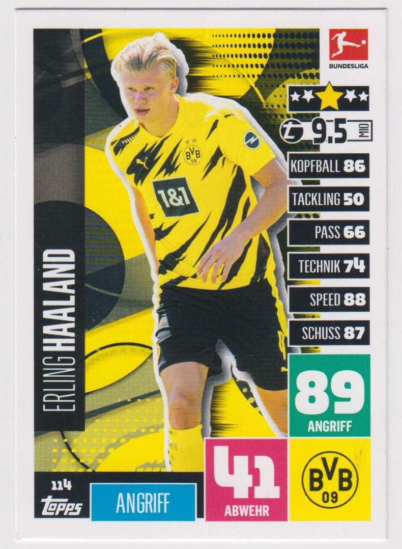 114. ERLING BRAUT HAALAND - BORUSSIA DORTMUND