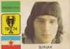 YOUGOSLAVIA - SURJAK