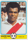 PERU - CUBILLAS