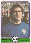 ITALY - GRAZIANI