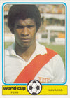 PERU - NAVARRO