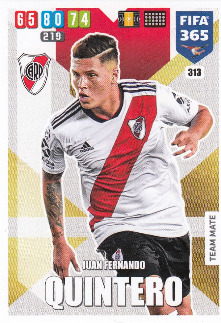 313. JUAN FERNANDO QUINTERO - RIVER PLATE - TEAM MATE