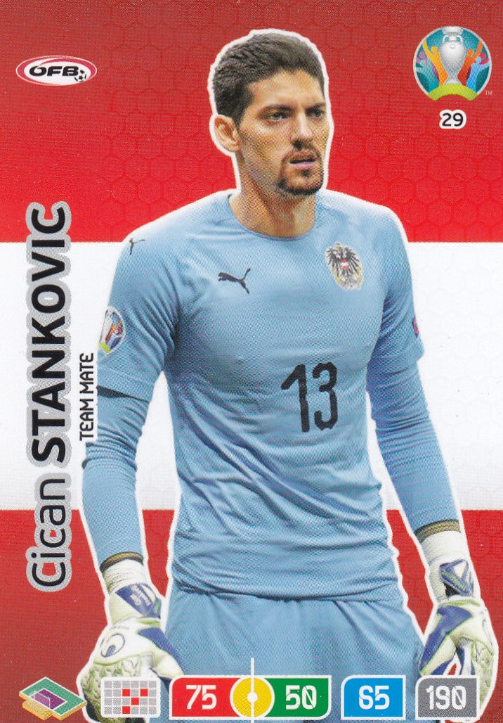 029. CICAN STANKOVIC - AUSTRIA - TEAM MATE