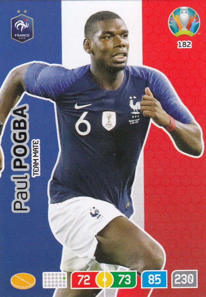 182. PAUL POGBA - FRANCE - TEAM MATE