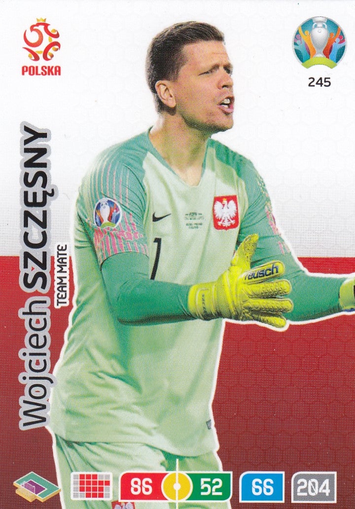 245. WOJCIECH SZCZESNY - POLAND - TEAM MATE