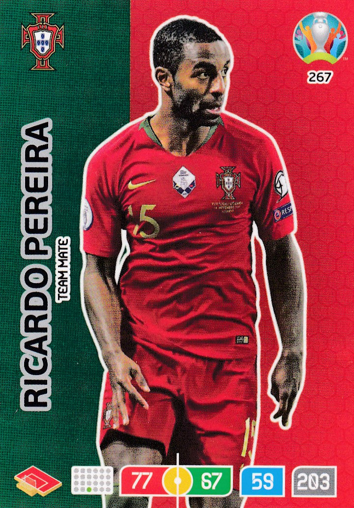 267. RICARDO PEREIRA - PORUGAL - TEAM MATE