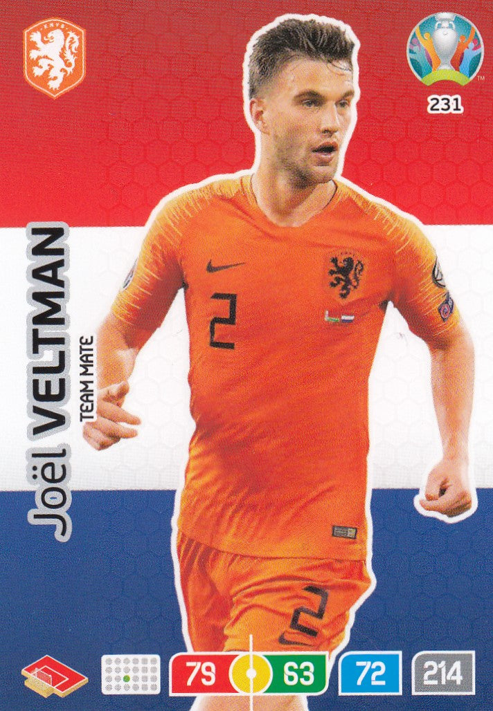 231. JOEL VELTMAN - NETHERLANDS - TEAM MATE