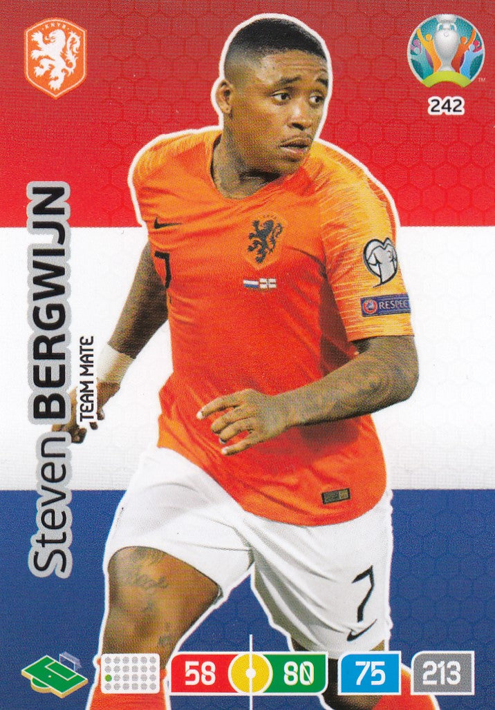 242. STEVEN BERGWIJN - NETHERLANDS - TEAM MATE