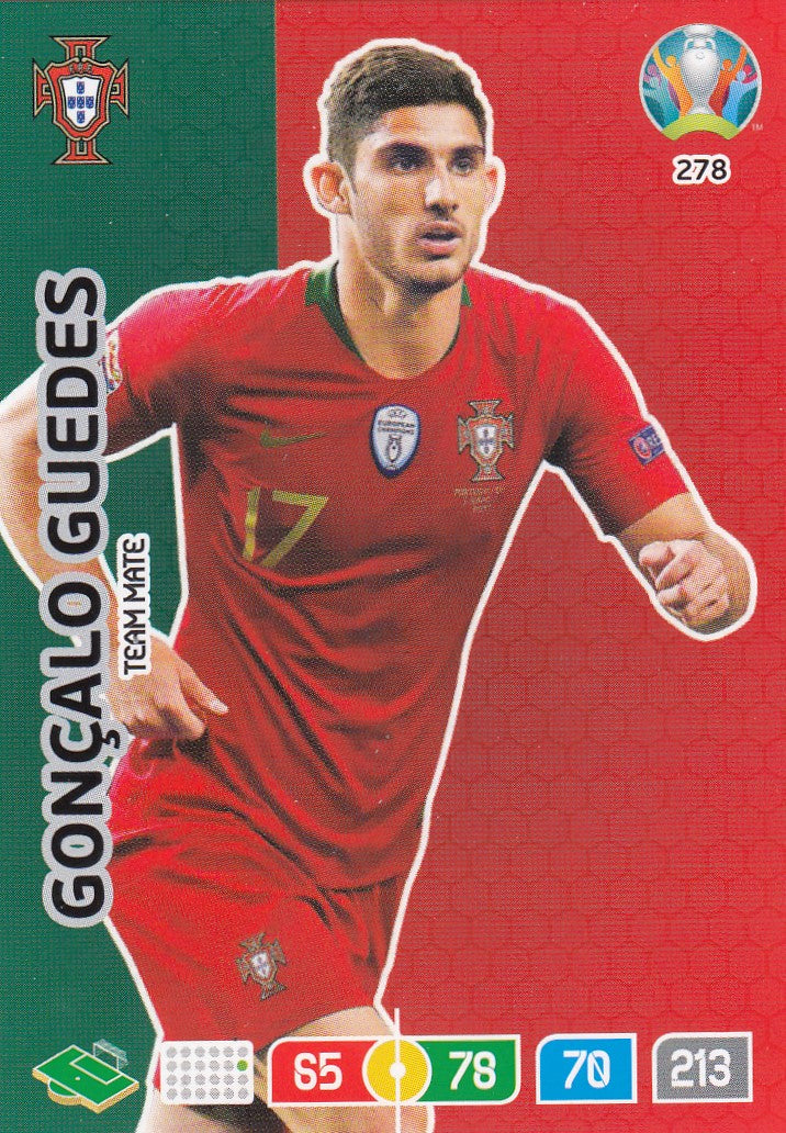 278. GONCALO GUEDES - PORTUGAL - TEAM MATE