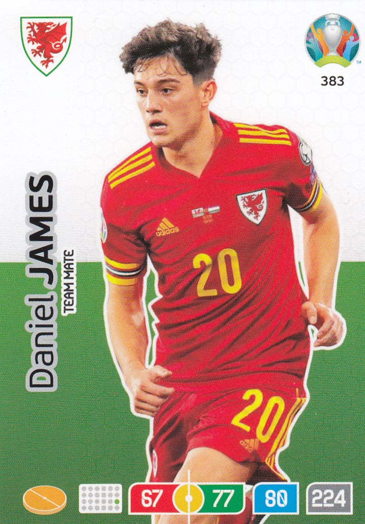 383. DANIEL JAMES - WALES - TEAM MATE
