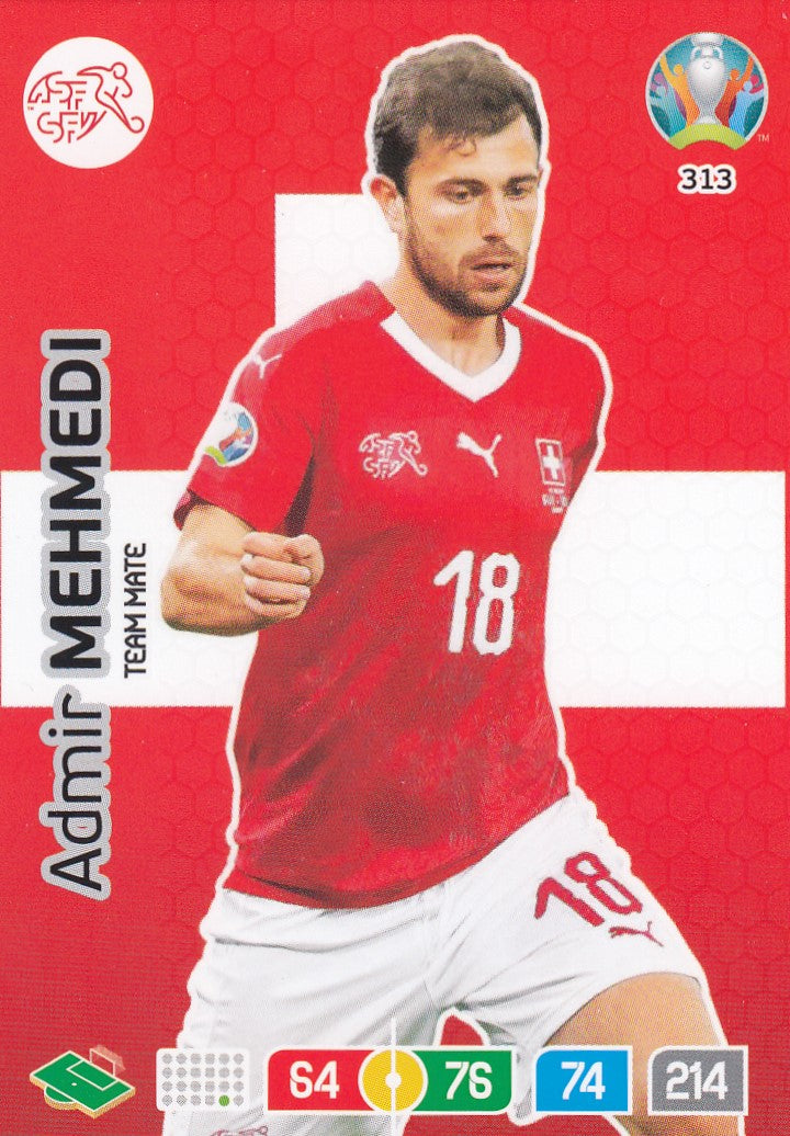 313. ADMIR MEHMEDI - SWITZERLAND - TEAM MATE