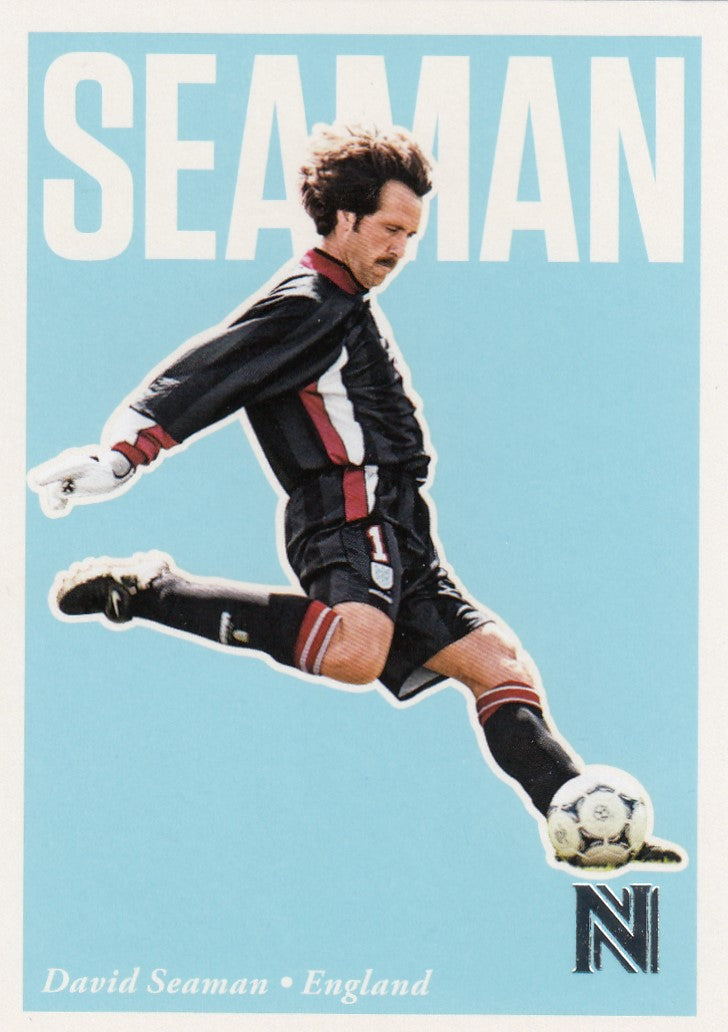 027. DAVID SEAMAN - ENGLAND