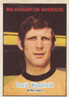 030. David Woodfield - Wolverhampton