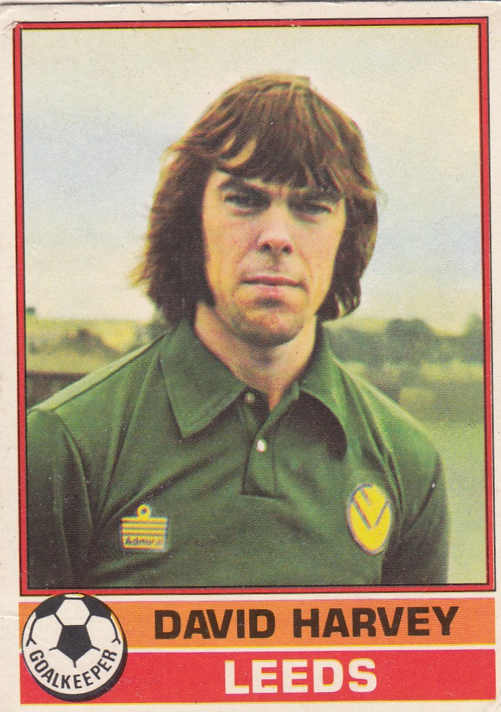 147. David Harvey - Leeds