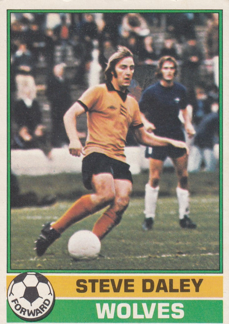 256. Steve Daley - Wolves