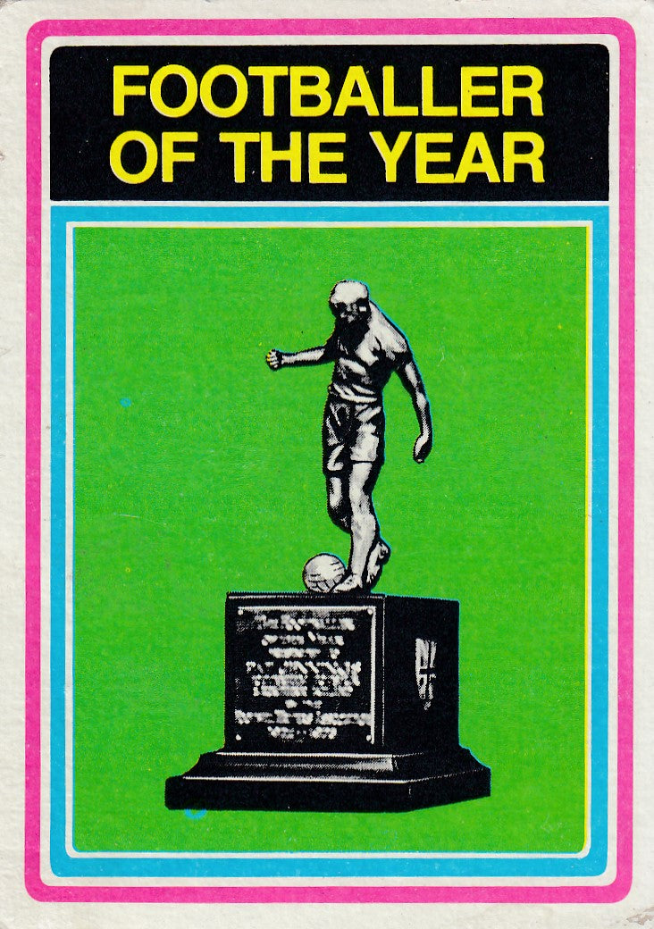 295. Footballer of the year