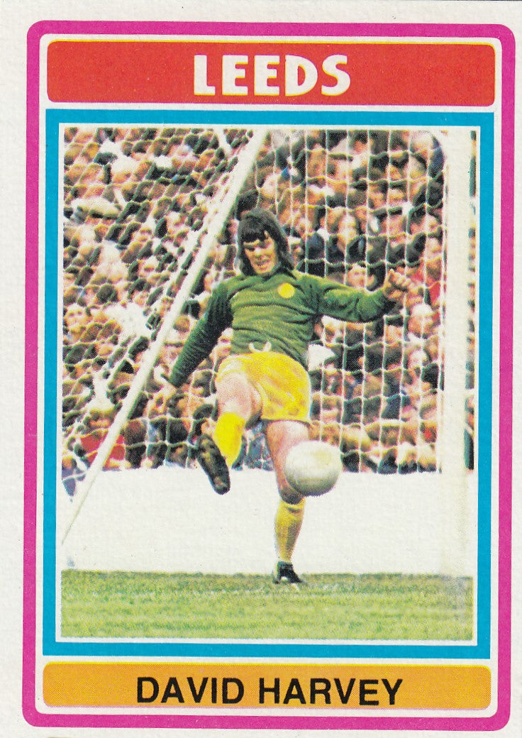 045 David Harvey - Leeds