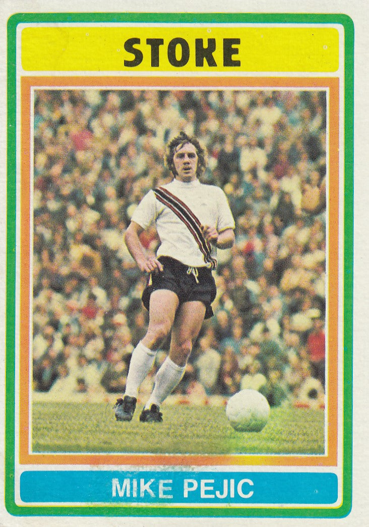 028 Mike Pejic - Stoke