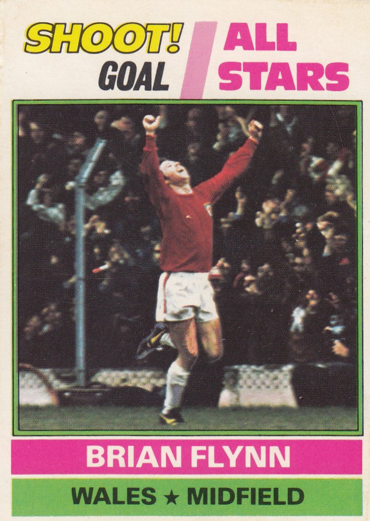 246. Brian Flynn - Wales