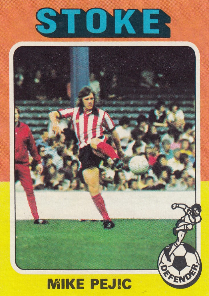 082. Mike Pejic - Stoke City