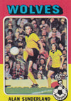 178. Alan Sunderland - Wolverhampton Wanderers