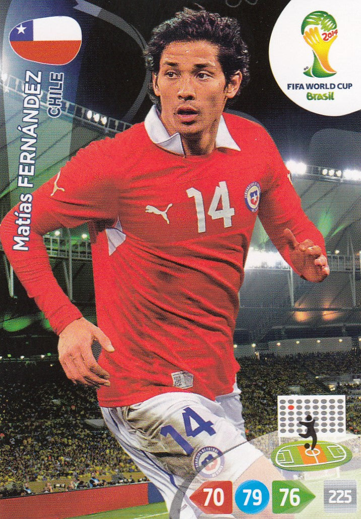 073. MATÌAS FERNÀNDEZ - CHILE