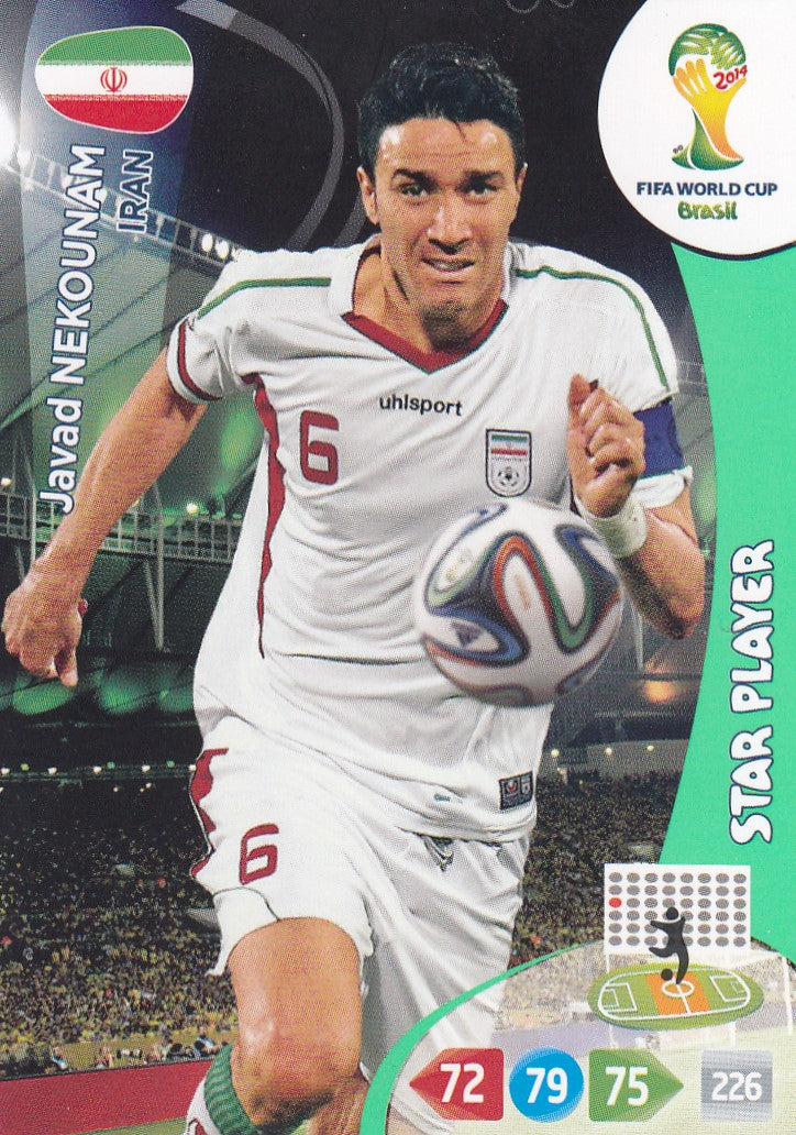 205. JAVAD NEKOUNAM - IRAN - STAR PLAYER