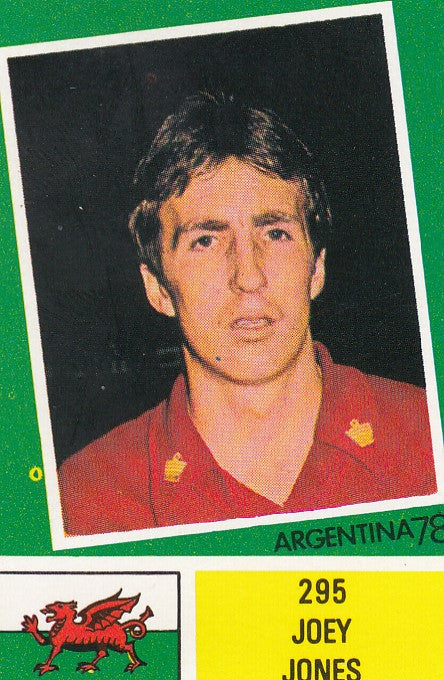 295. JOEY JONES - WALES