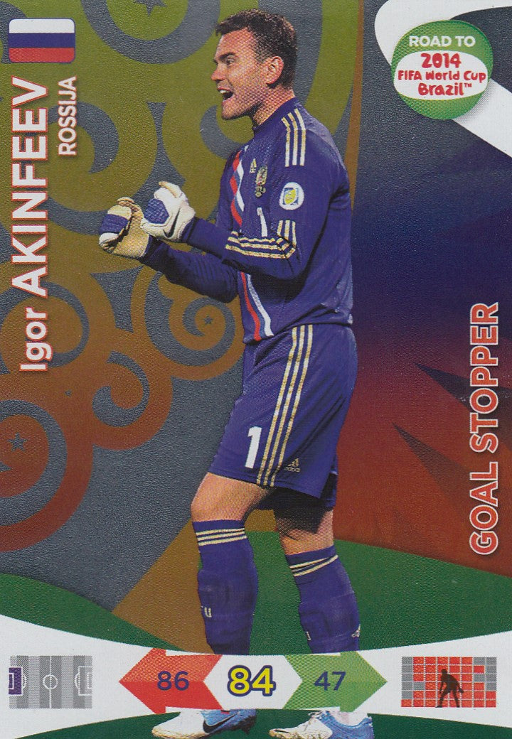 217. IGOR AKINFEEV - ROSSIJA - GOAL STOPPER