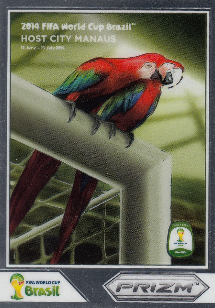 06. HOST CITY MANAUS - WORLD CUP POSTERS