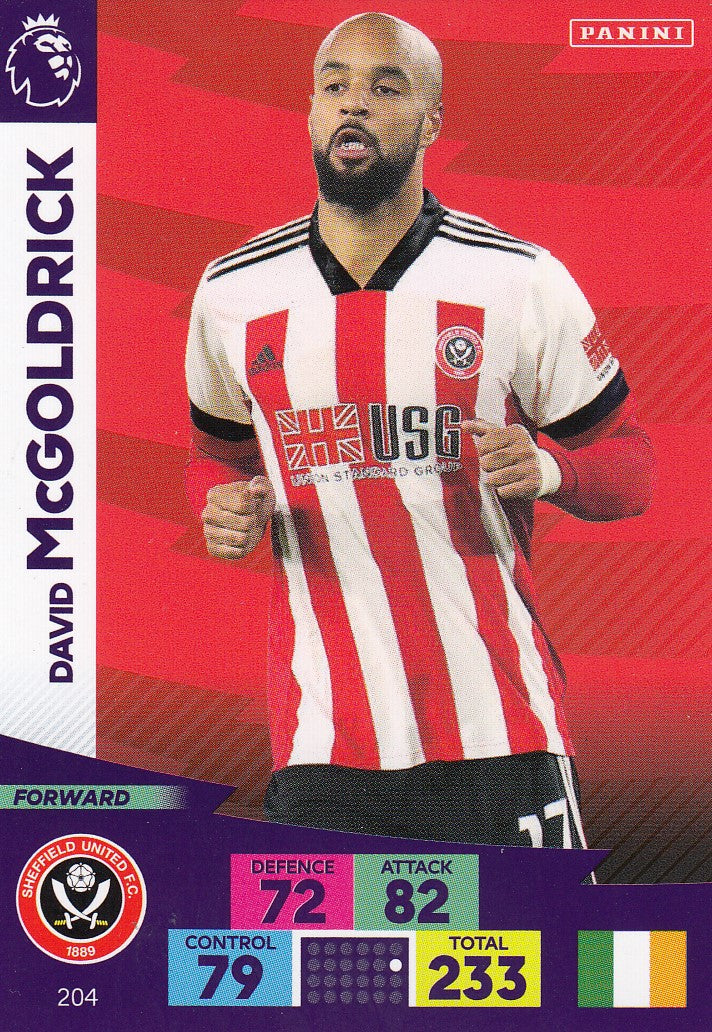 204. DAVID MCGOLDRICK - SHEFFIELD UNITED