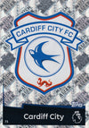073. CARDIFF CITY
