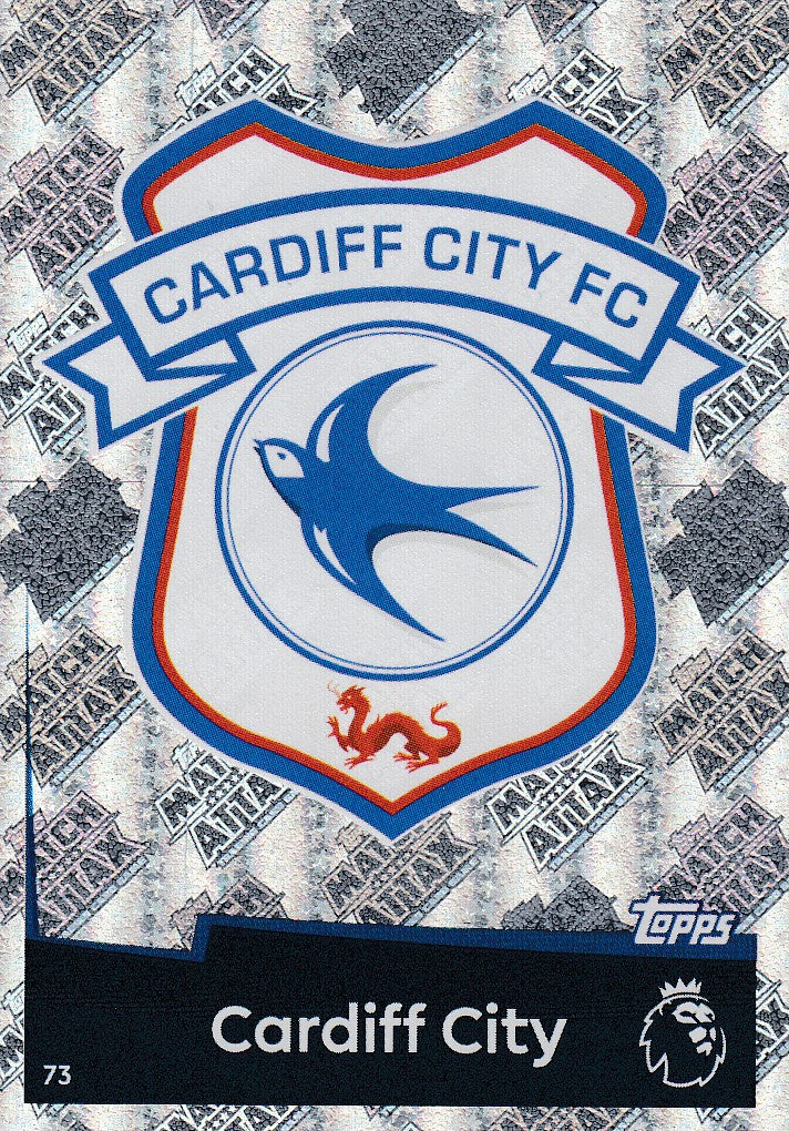 073. CARDIFF CITY