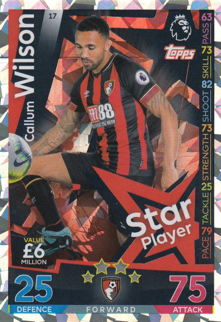 017. CALLUM WILSON - AFC BOURNEMOUTH - STAR PLAYER