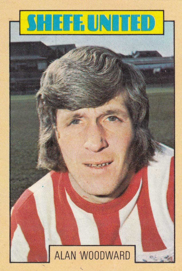 022. Alan Woodward - Sheffield United