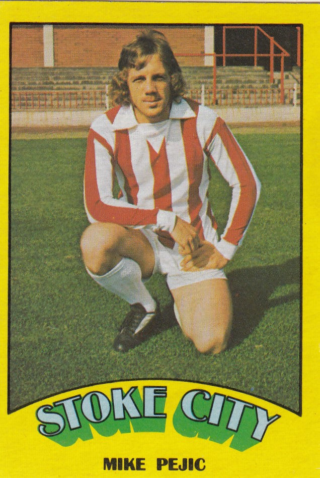 099. Mike Pejic - Stoke City