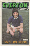 187. DAVE JOHNSON - EVERTON