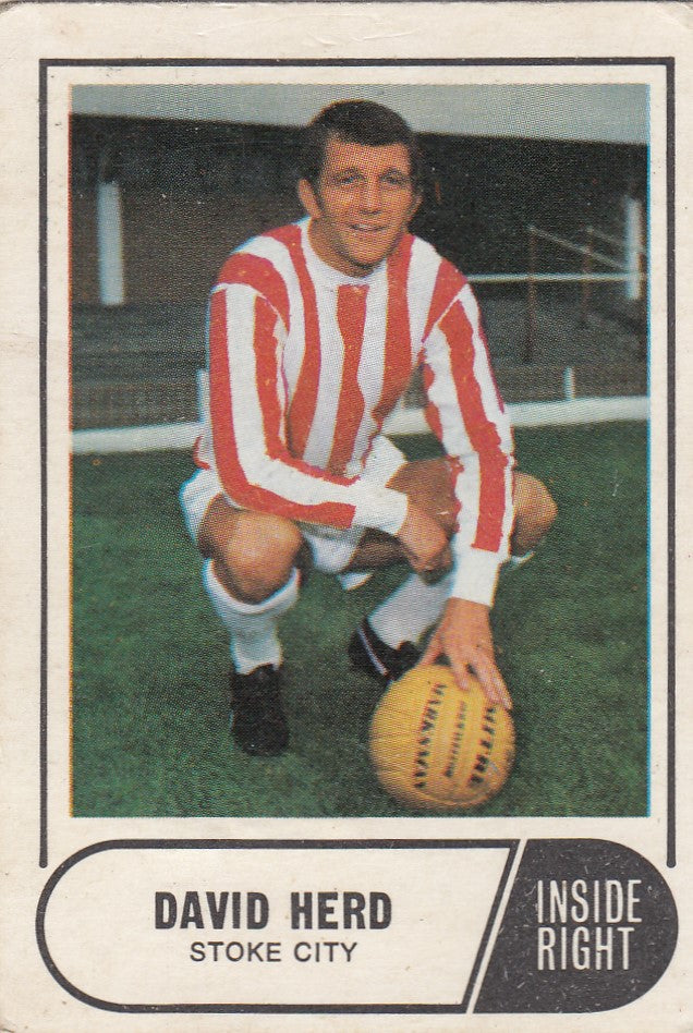 133. DAVID HERD - STOKE CITY