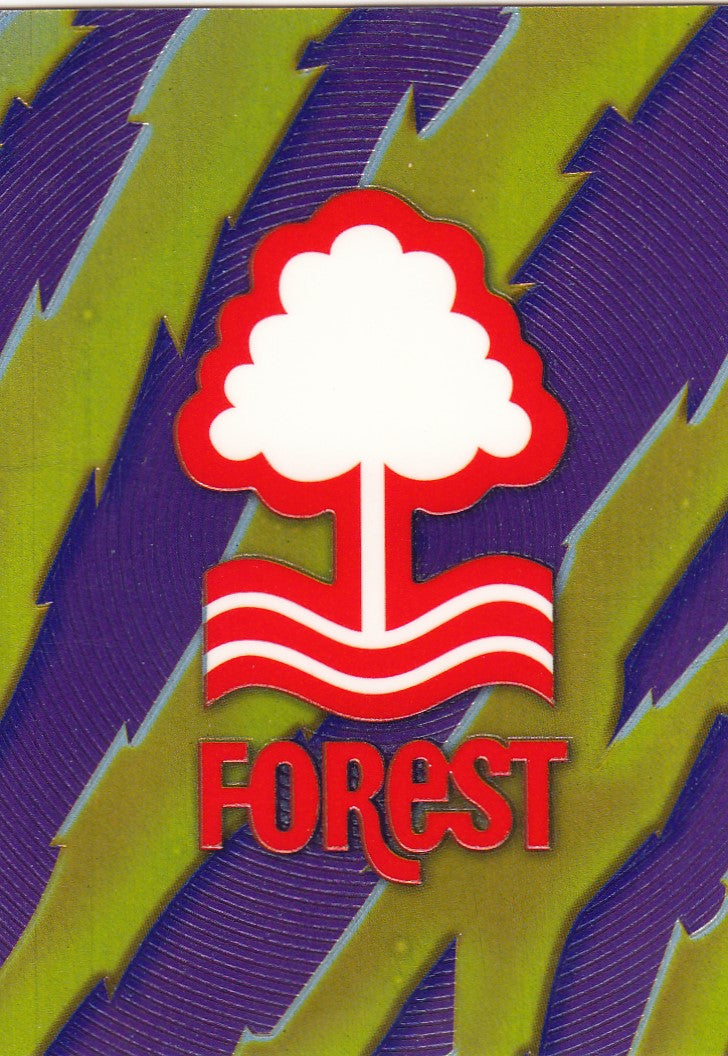 A15. NOTTINGHAM FOREST - TEAM BADGE