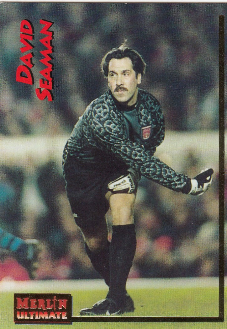 005. DAVID SEAMAN - ARSENAL